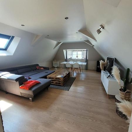 Loft Spacieux Et Lumineux Oloron-Sainte-Marie Luaran gambar