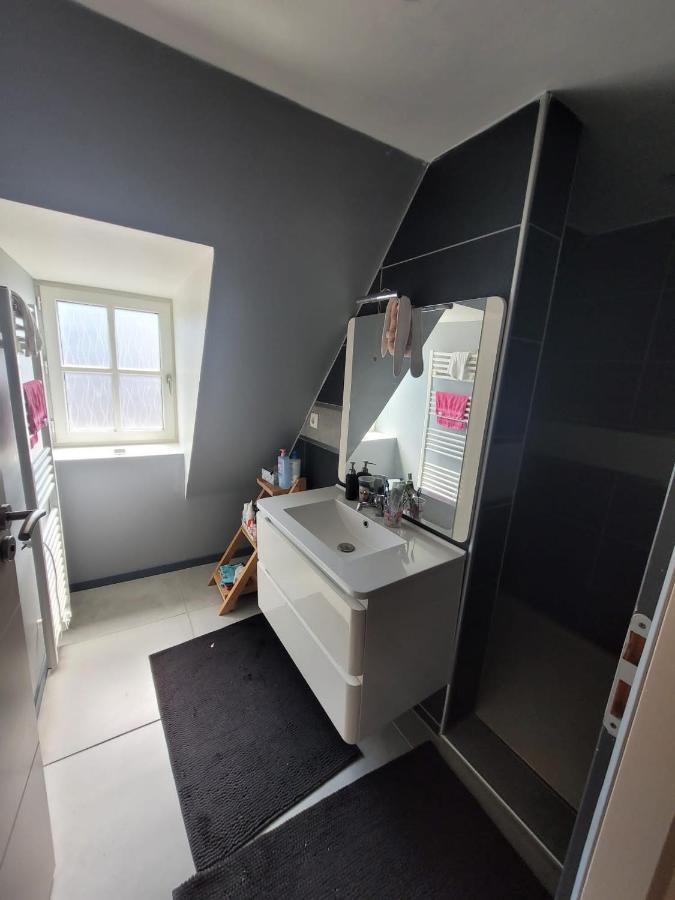 Loft Spacieux Et Lumineux Oloron-Sainte-Marie Luaran gambar