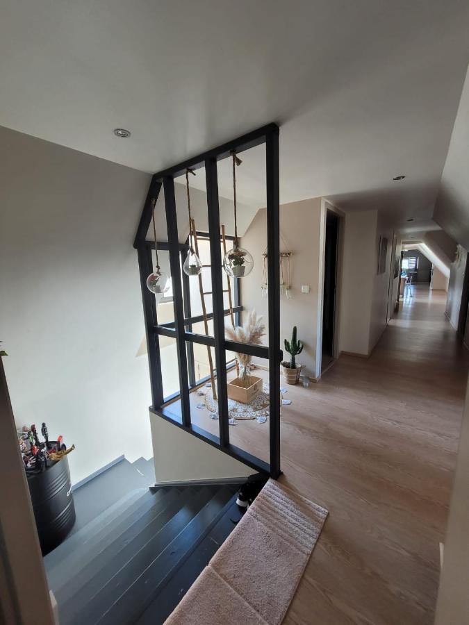 Loft Spacieux Et Lumineux Oloron-Sainte-Marie Luaran gambar