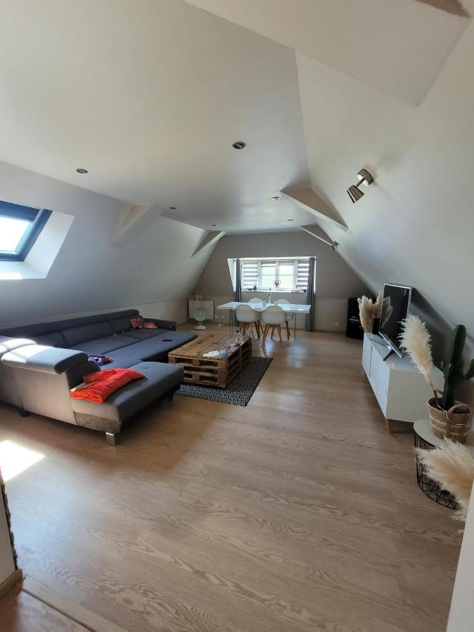 Loft Spacieux Et Lumineux Oloron-Sainte-Marie Luaran gambar